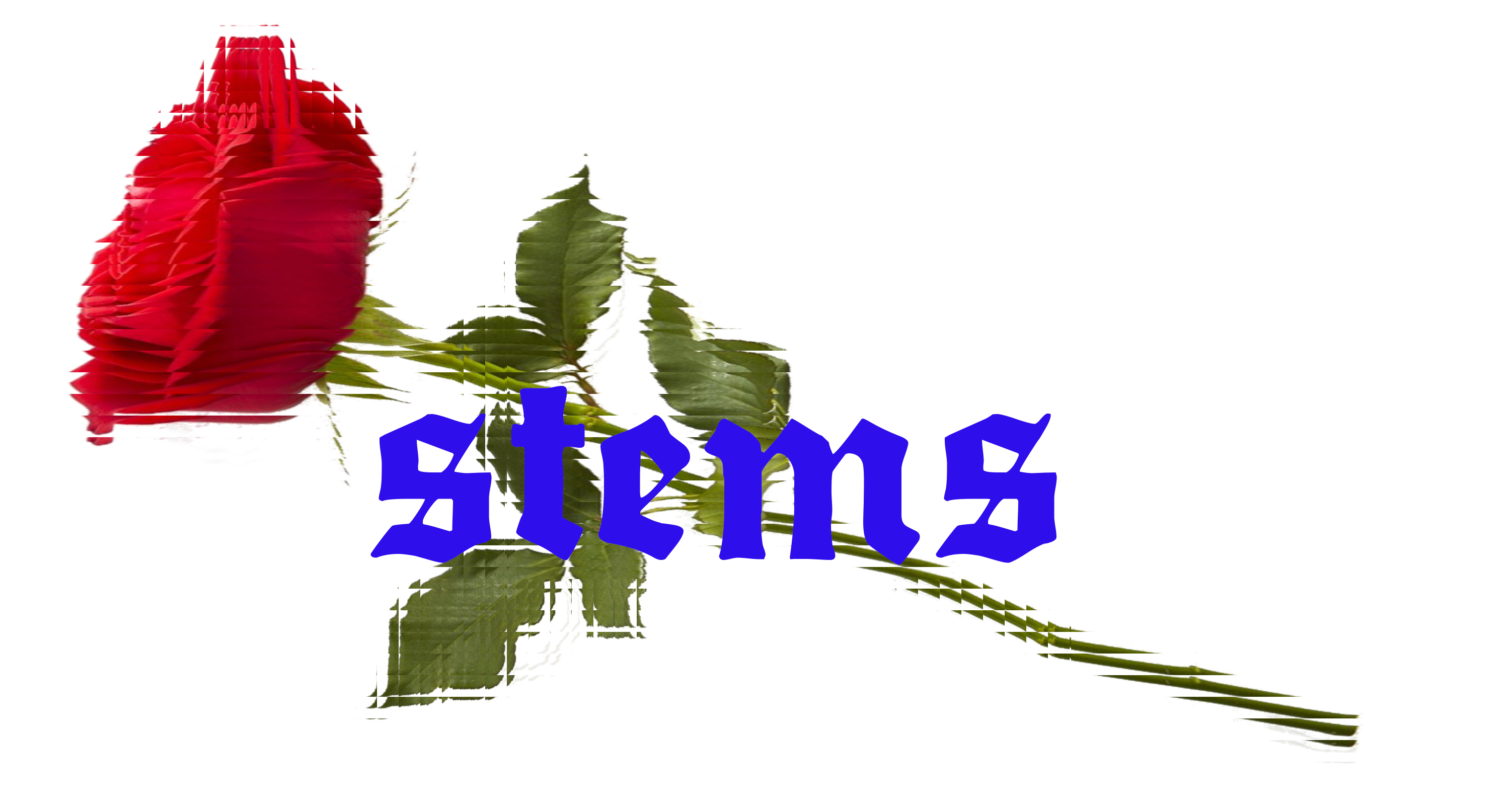 stems